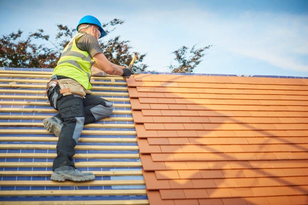 Best Roof Coating and Sealing  in Mcleansboro, IL